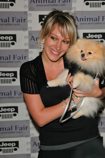 O Jeep Yappy Hora e Febreze Pet Fashion Show — Fotografia de Stock