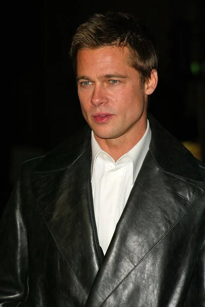 Brad Pitt — Foto Stock