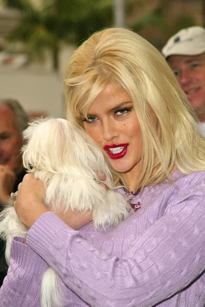 Anna Nicole Smith — Stockfoto