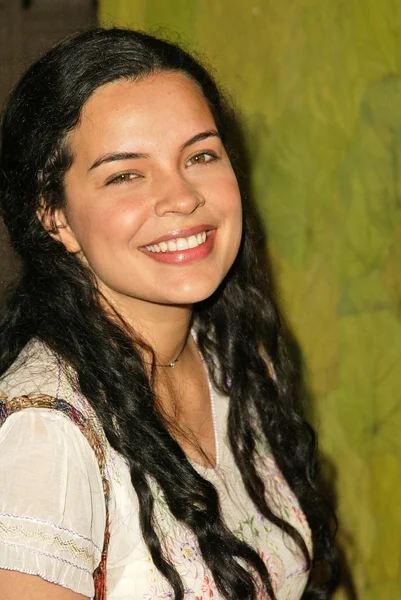 Zuleikha Robinson — Foto Stock