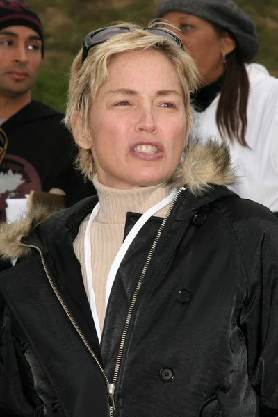 Sharon Stone — Stockfoto