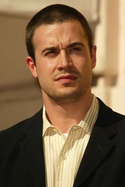 Freddie Prinze Jr. . — Photo