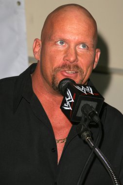 taş soğuk steve austin