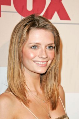 2004 Güz sanatçısını tilki