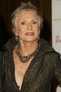 senaryo yazarı