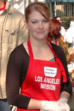 Melissa Joan Hart