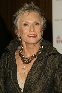 senaryo yazarı