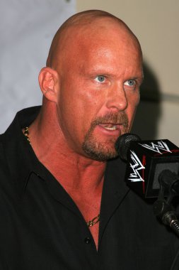 taş soğuk steve austin