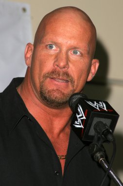 taş soğuk steve austin