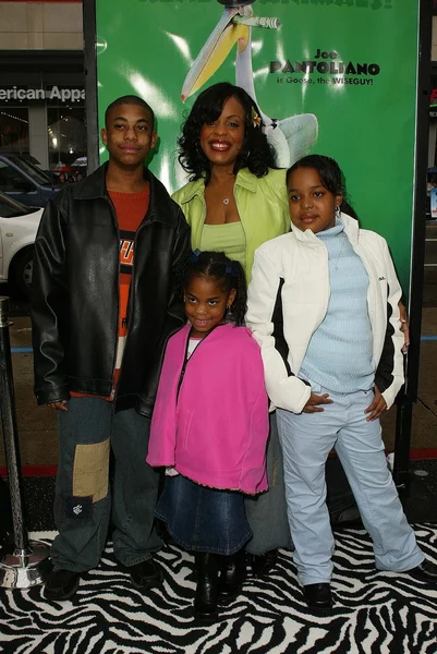 Niecy Nash en el estreno mundial de Warner Bros . — Foto de Stock