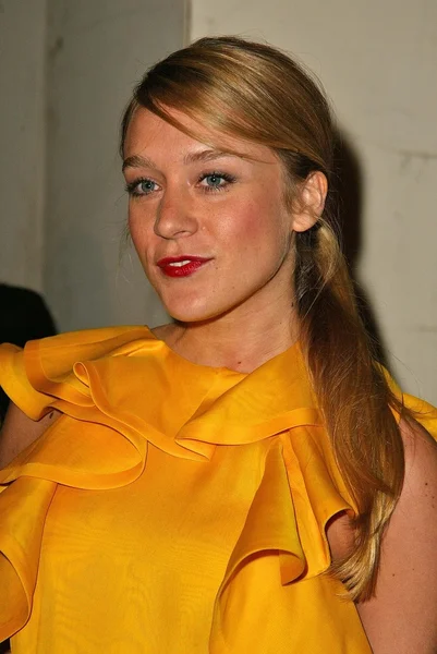 Chloe Sevigny — Stok fotoğraf