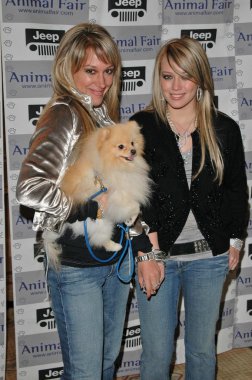 Jeep yaygaracı saat ve Febreze evde beslenen hayvan moda defilesi