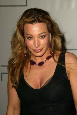 Taylor Dayne
