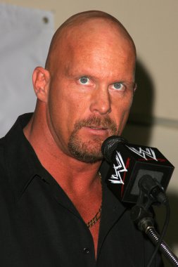 taş soğuk steve austin