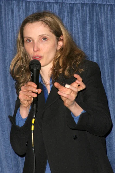 Q & A com Julie Delpy — Fotografia de Stock