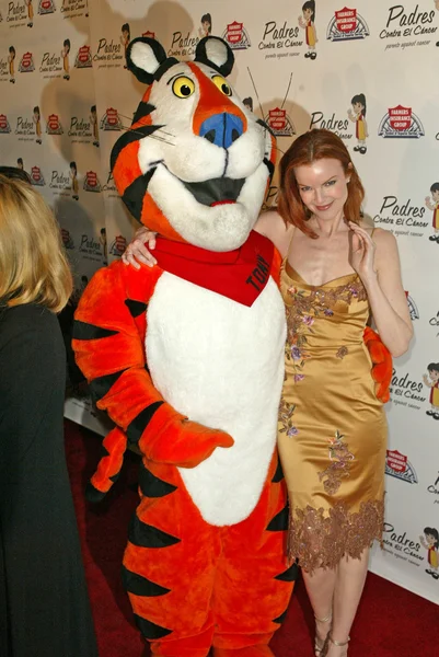 Marcia Cross — Stok fotoğraf