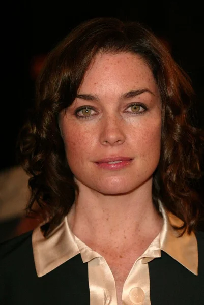 Julianne Nicholson — Stockfoto