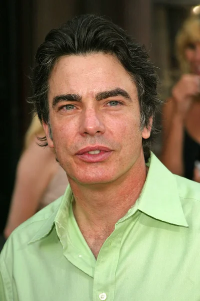 Peter Gallagher — Photo