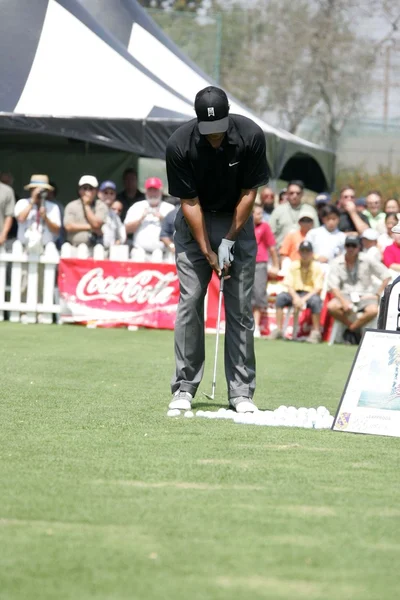 Tiger Woods — Stok fotoğraf