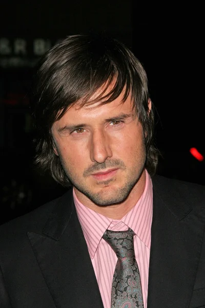 デヴィッド アークエット写真素材 ロイヤリティフリーデヴィッド