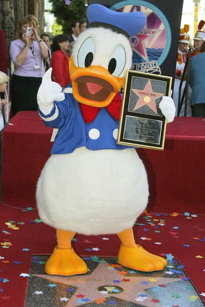 Donald Duck — Stock Photo, Image