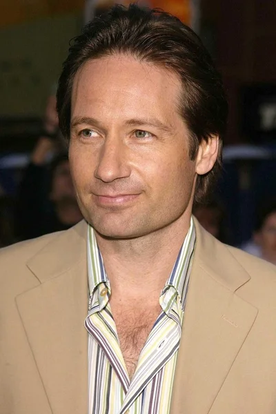 David Duchovny — Photo