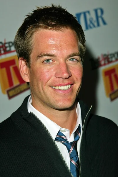 Michael Weatherly — Stock Photo, Image