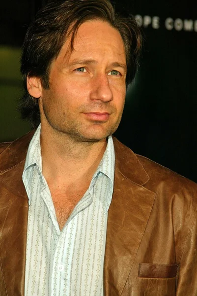 David Duchovny — Zdjęcie stockowe