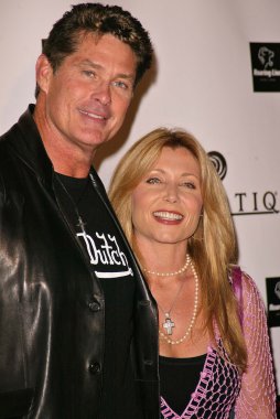 David hasselhoff ve eşi pamela