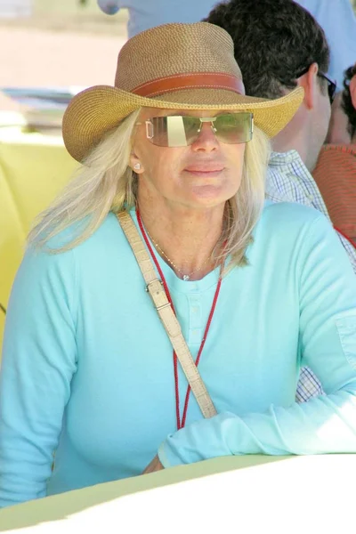 Linda Evans — Stockfoto