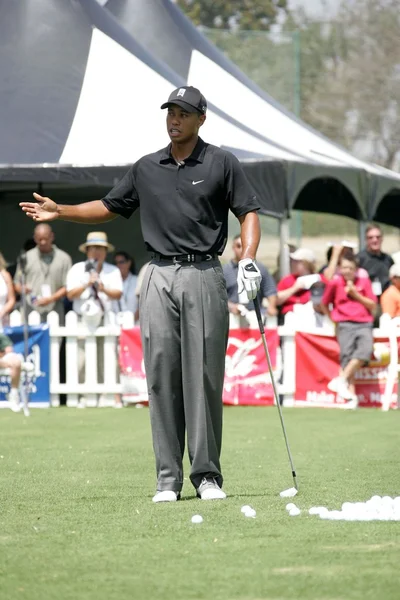 Tiger Woods — Stock Photo, Image