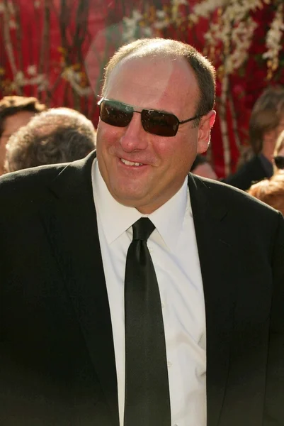 James Gandolfini. — Fotografia de Stock