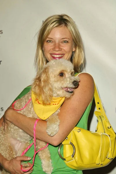 Amy Smart. — Foto de Stock