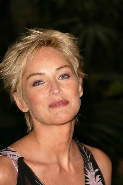 Sharon Stone — Zdjęcie stockowe