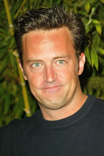 Matthew Perry — Stockfoto