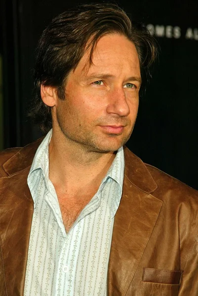 David Duchovny — Φωτογραφία Αρχείου