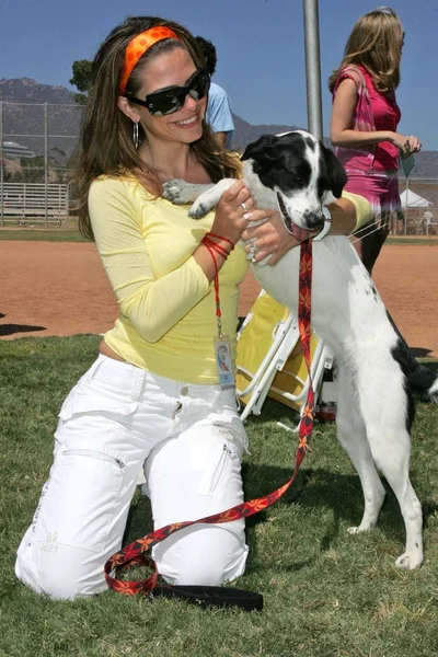 Maria Menounos — 图库照片