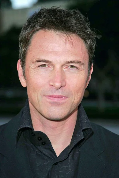 Tim Daly a — Stock Photo, Image