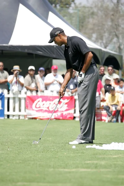 Tiger Woods — Stock fotografie