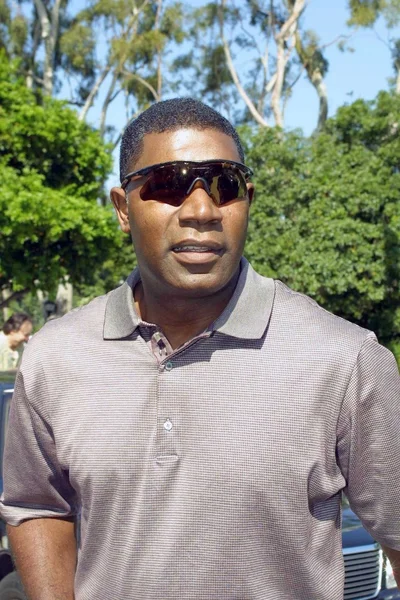 Dennis Haysbert. — Foto Stock