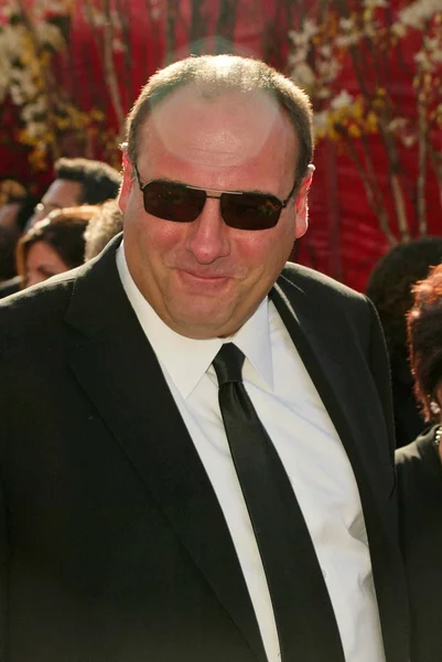 James Gandolfini — Stockfoto