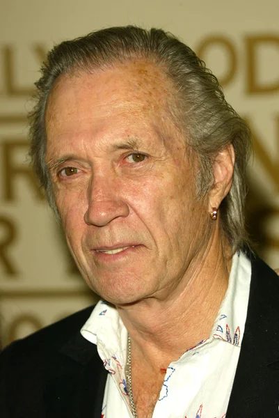 David carradina — Foto Stock