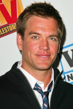 Michael Weatherly'nin