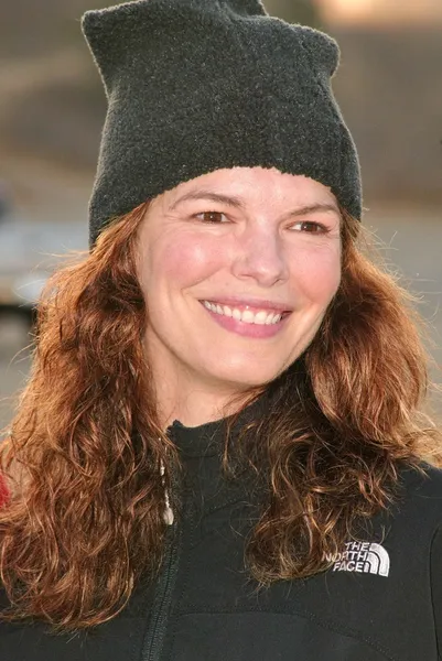 Jeanne Tripplehorn — Stock Photo, Image