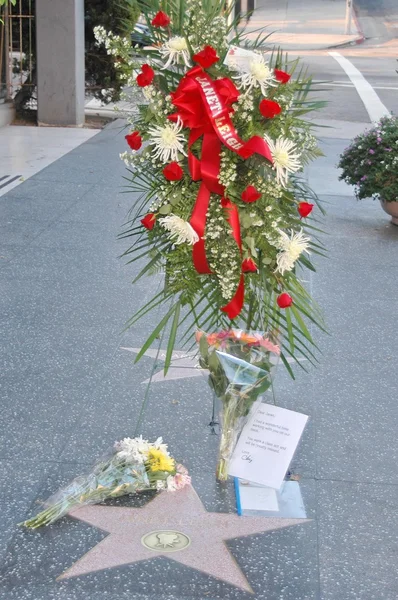 वाईन स्ट्रीटवर हॉलिवूडच्या वॉक ऑफ फॅम स्टारवर अभिनेत्री जॅनेट ली यांना फुलांचा आणि फॅनचा पुष्पगुच्छ — स्टॉक फोटो, इमेज