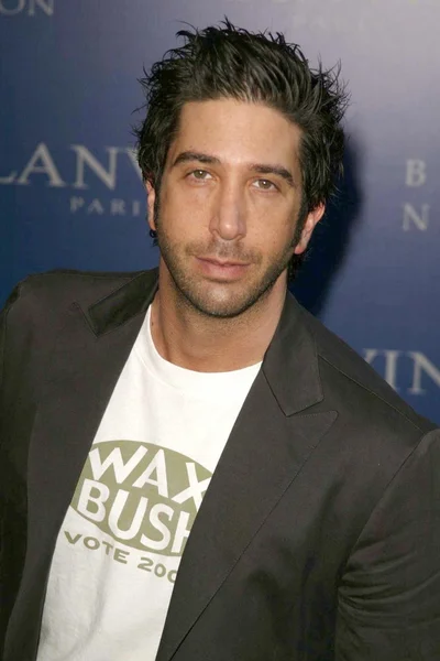 David Schwimmer — Zdjęcie stockowe