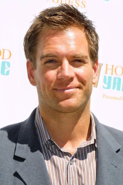 Michael Weatherly'nin