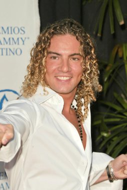 David Bisbal