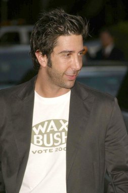 David Schwimmer
