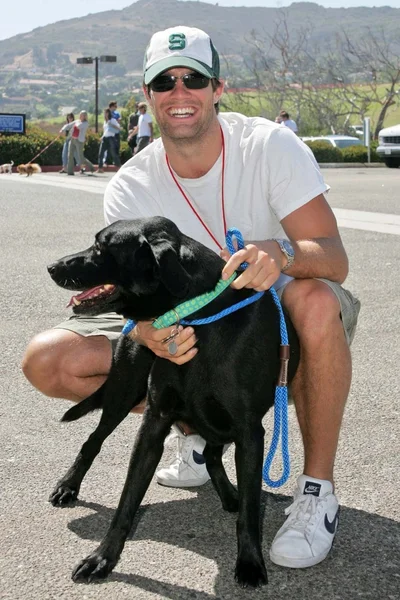 Geoff Stults. — Foto de Stock